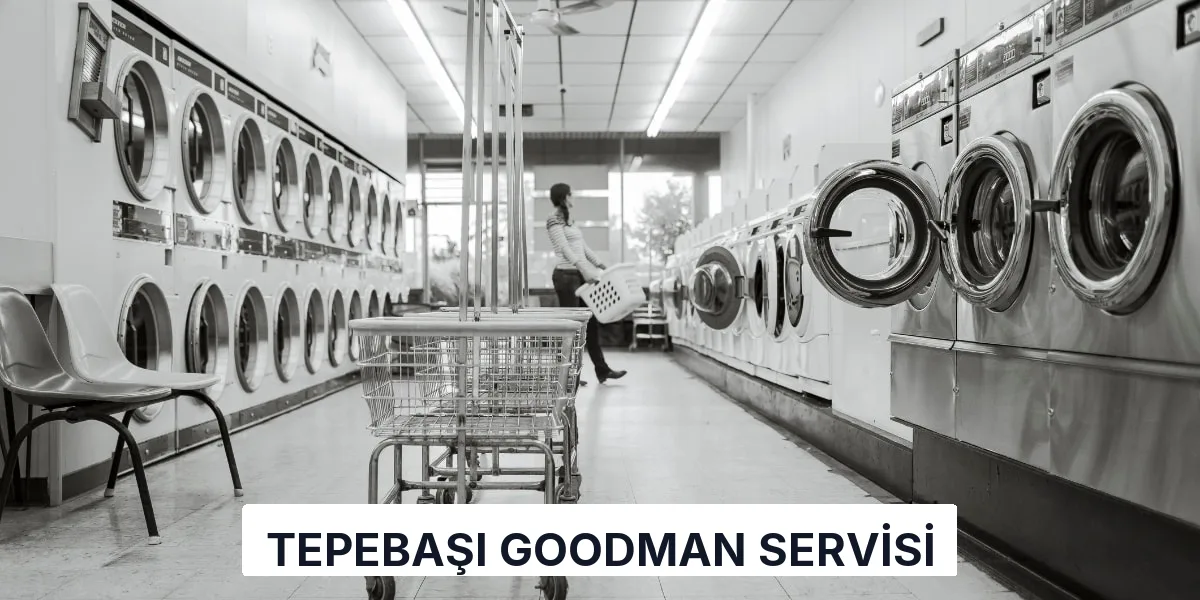 Tepebaşı Goodman Servisi